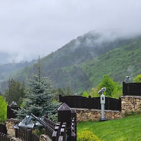 Alpine Castle Hotel-3