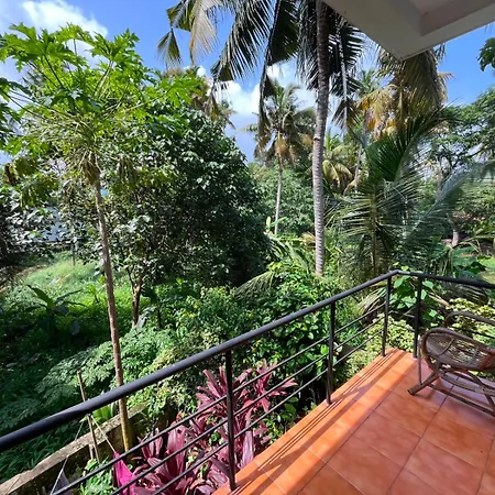 Iha Ayurveda Resort-2