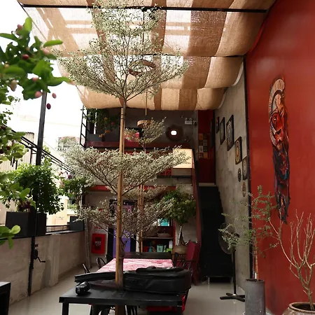 T Zone Hostel - Quiet Place, Near China Town,Ho Thi Ky Street Food,Cafe,Beer-3