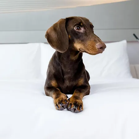 Melia Bilbao-2