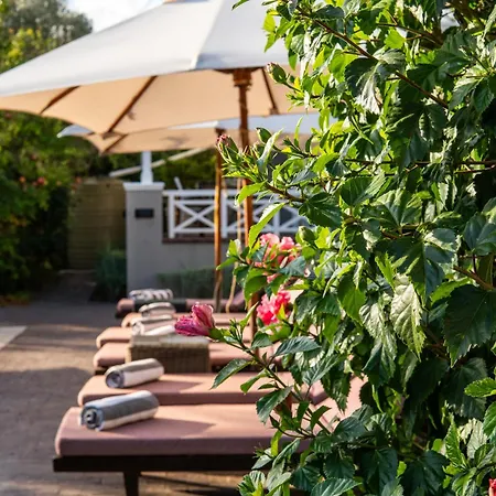 Plumwood Boutique Hotel By The Living Journey Collection-2