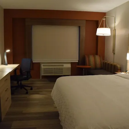 Holiday Inn Express Hotel & Suites Rochester Webster By Ihg-3