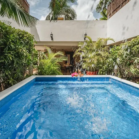 Casa Aura Hotel, Mérida-3