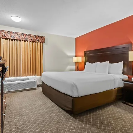 Comfort Inn & Suites Airport South-2