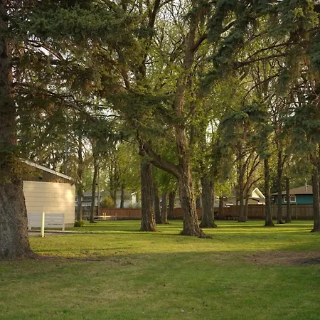 Yellow Quill Motel-3