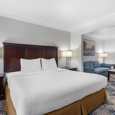 Best Western Plus Southpark Inn & Suites-2