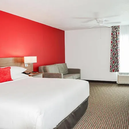 Radisson Hotel Orlando Lake Buena Vista South-3