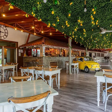 Holiday Hotel Siofok-2