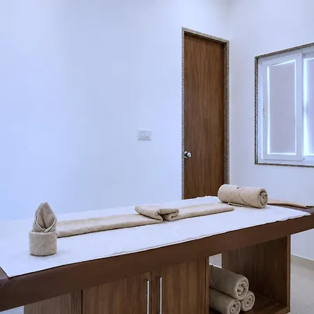 Red Tullip Md Valley Resort & Spa - Luxury Resort With Swimming Pool, Udaipur-3
