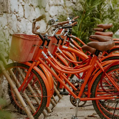 Ahau Beachfront Tulum Hotel (Adults Only)-2