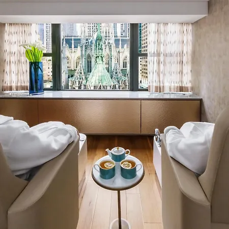 Lotte New York Palace-2