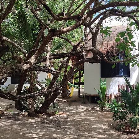 Valentina Holbox By Las Flores Vacation Rentals-3