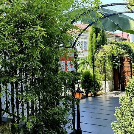 Tropical Garden-2