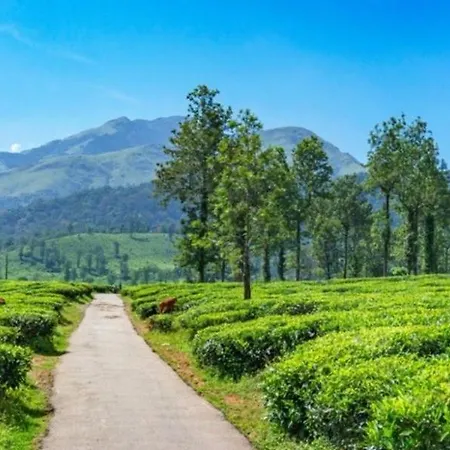 Bhuvi Wayanad Nature Retreat - Near Forest With Activities, Ideal For Couples-2