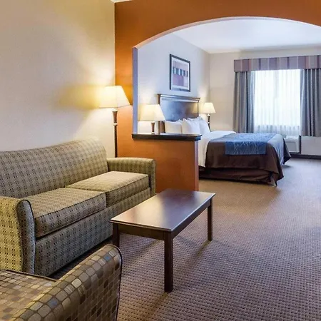 Comfort Inn & Suites Winnie-2