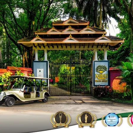 Kairali - The Ayurvedic Healing Village-2