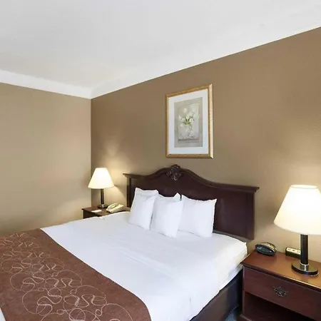 Comfort Suites Plainview-3