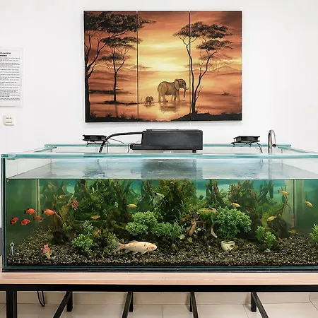 Rays Residence-3