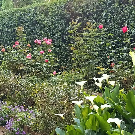 Iris Garden Cottage-2