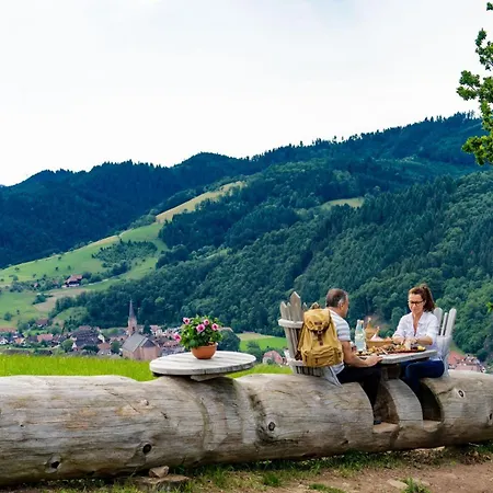 Schwarzwald Hotel-3