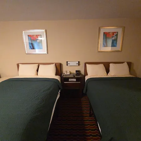 Chesaning Inn & Suites-2
