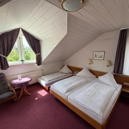 Hotel am Neckar-3