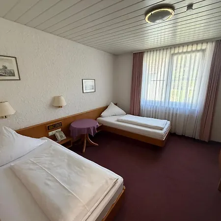 Hotel am Neckar-2