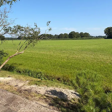 benbmeestervankampen-2