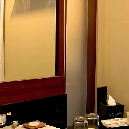 D'Anaya Hotel Bogor-2