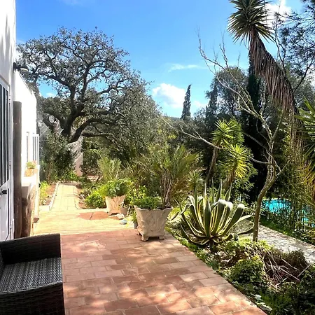 Moinhos Velhos Wellness Retreat-3
