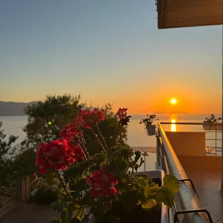 Samos Home Vlore-2