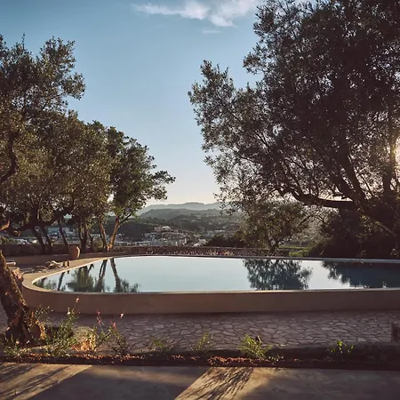 Prosilio Olive Tree Houses-3