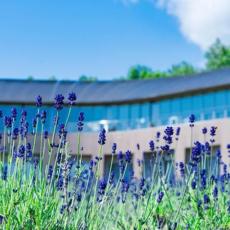 Furano Hotel 富良野ホテル-2