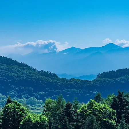 Furano Hotel 富良野ホテル-2