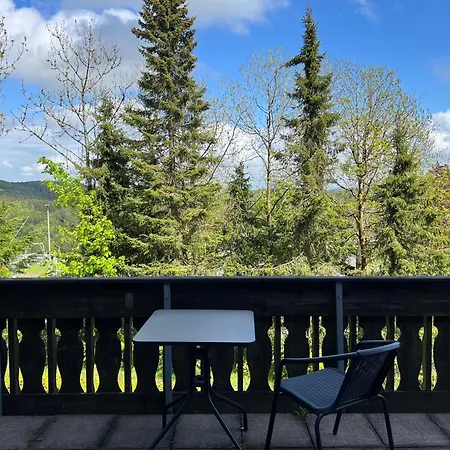 Pension Mountain View Sauerland-2