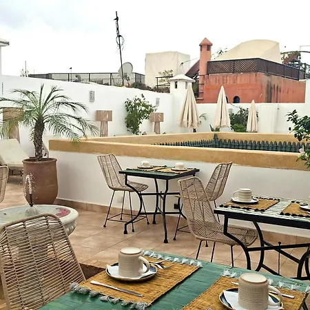 Riad Dabakech-2