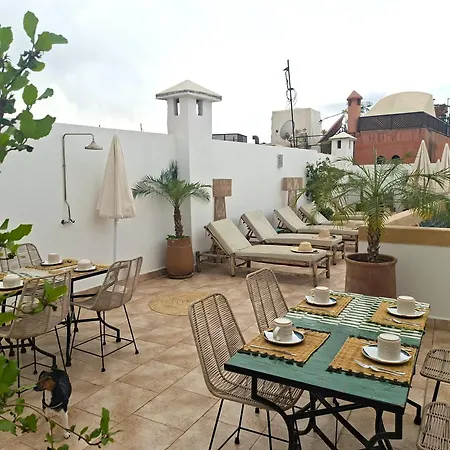 Riad Dabakech-3