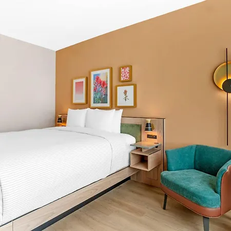 Cambria Hotel Euless - Dfw Airport South-3