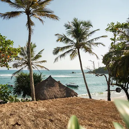 Petti Petti Beach Club- Mirissa-2