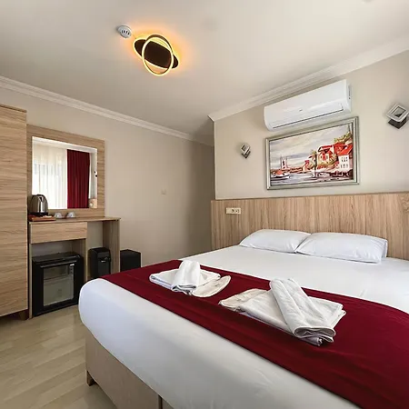 Le Safran Palace-2