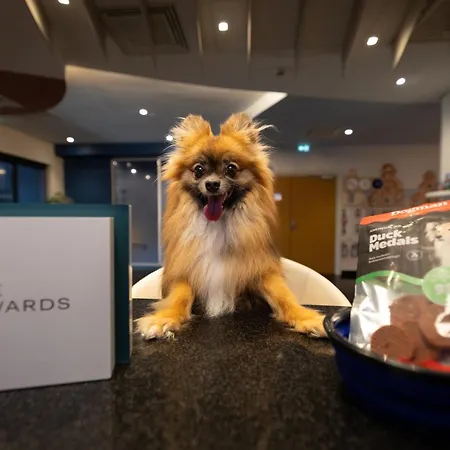 Holiday Inn Express Arras By Ihg-2