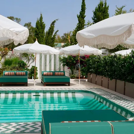 Bv House - Membersclub - Adult Only-2
