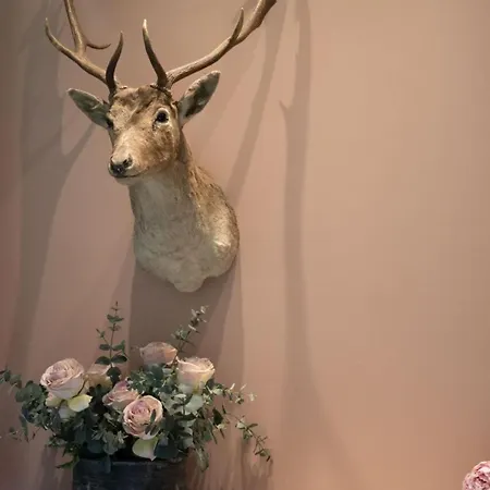 B&B 'T Wit Huys Brugge-2