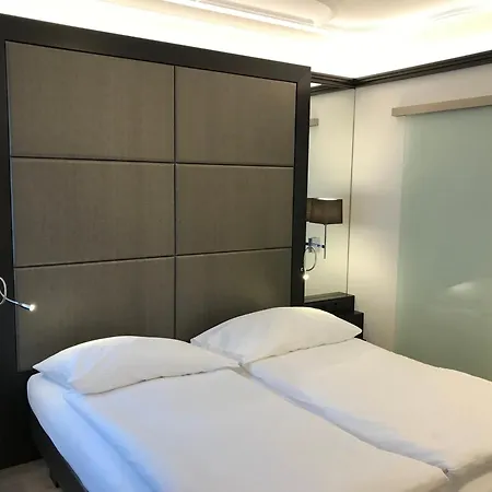 Hotel Alpina Luzern-3
