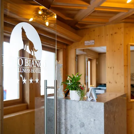 Wellness Hotel Lupo Bianco-2