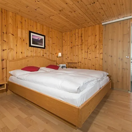 Hotel Alpina-2
