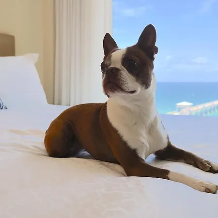 Wyndham Deerfield Beach Resort-3