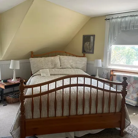 Black Lantern B&B-2
