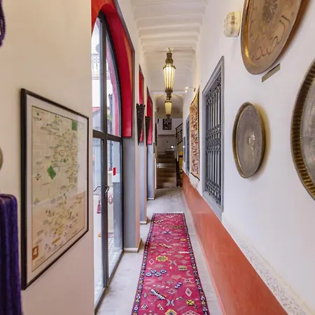 Riad Alegria-2
