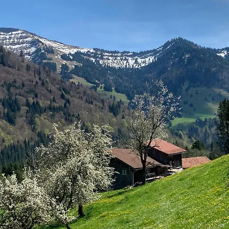 Interest Vitalhotel - Partnerbetrieb von Oberstaufen PLUS-3